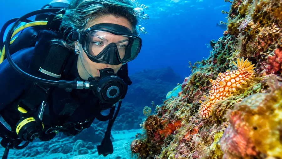 Duiken in Zuid-Tenerife en Beste Duiklocaties