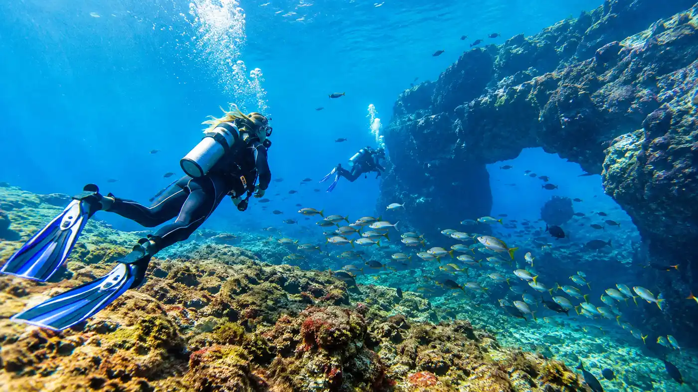 Duiken in Zuid-Tenerife en Beste Duiklocaties