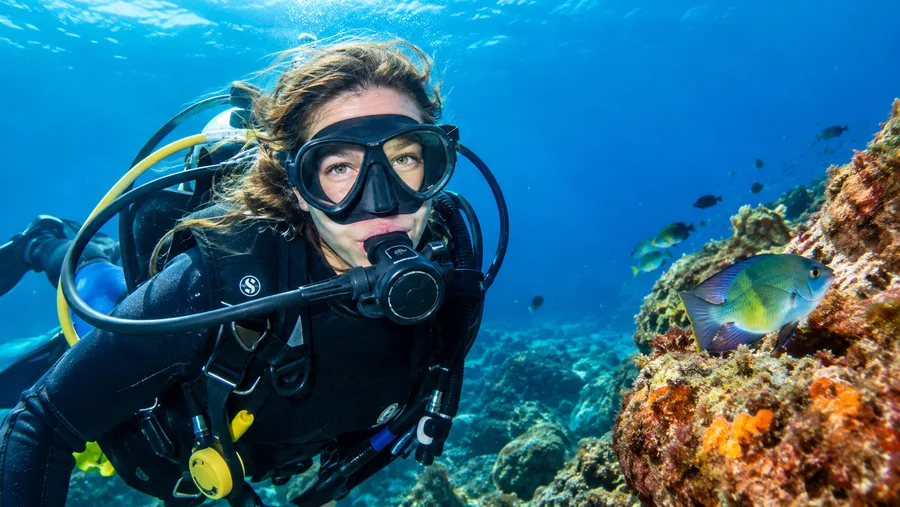 Beginnersgids voor duiken in Tenerife