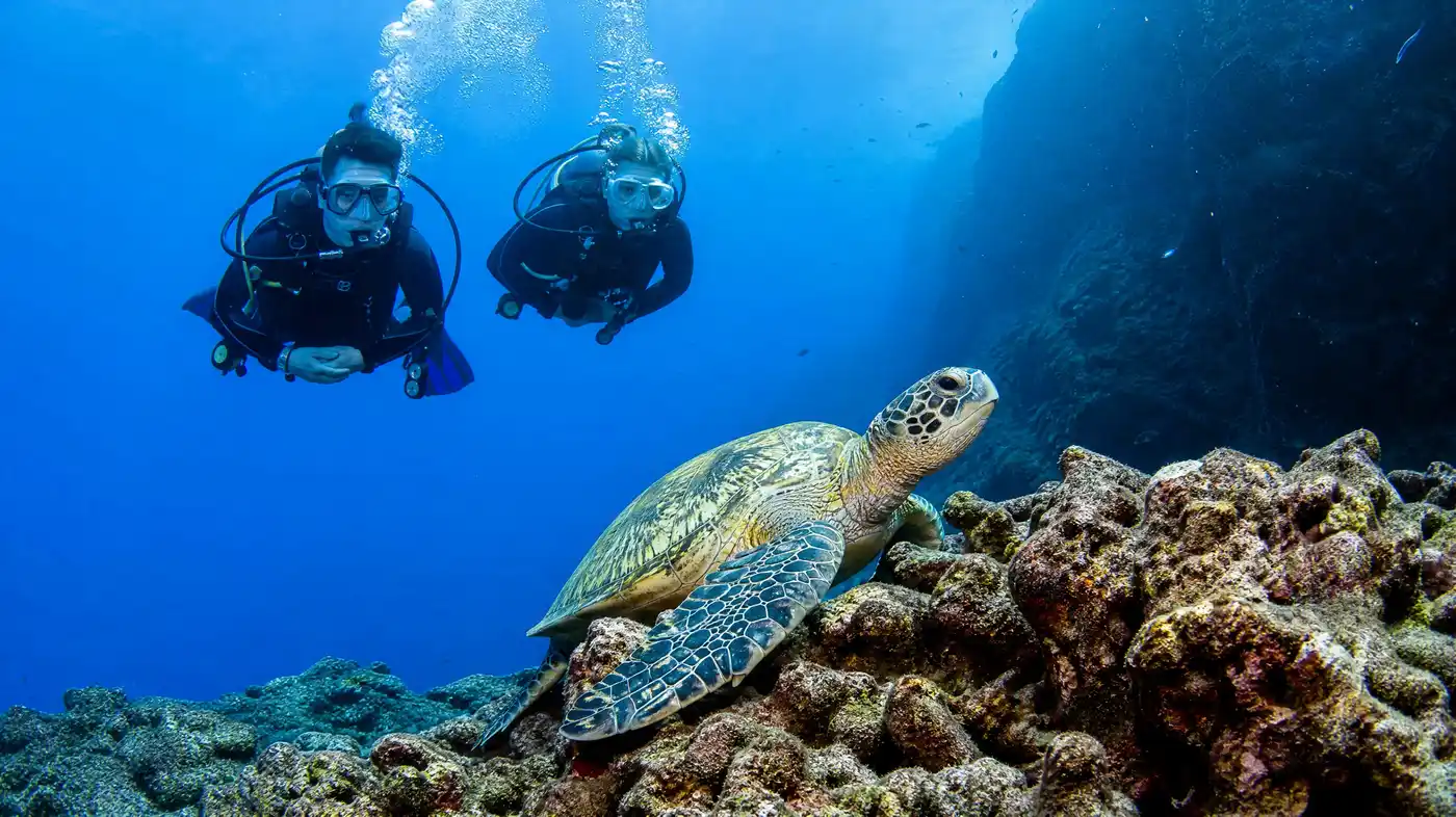 Beginnersgids voor duiken in Tenerife