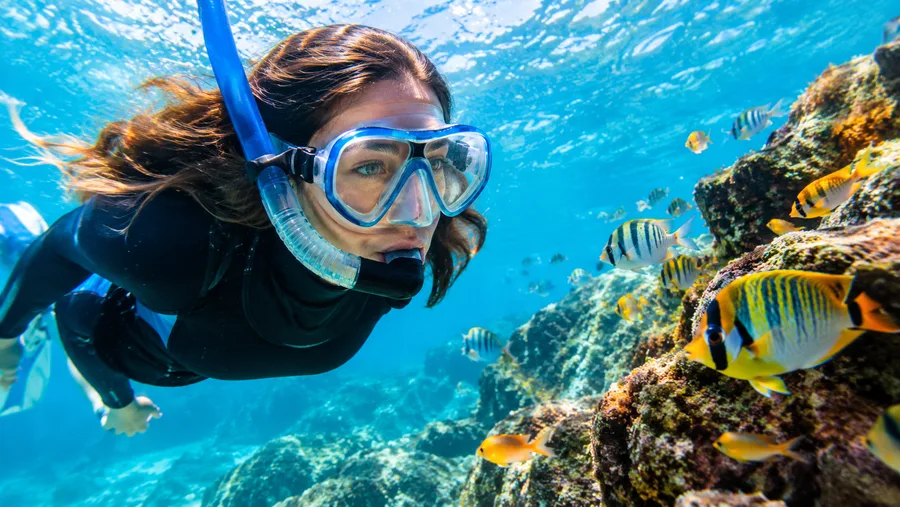 Volledige gids voor snorkelen in Tenerife