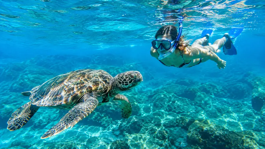 Volledige gids voor snorkelen in Tenerife