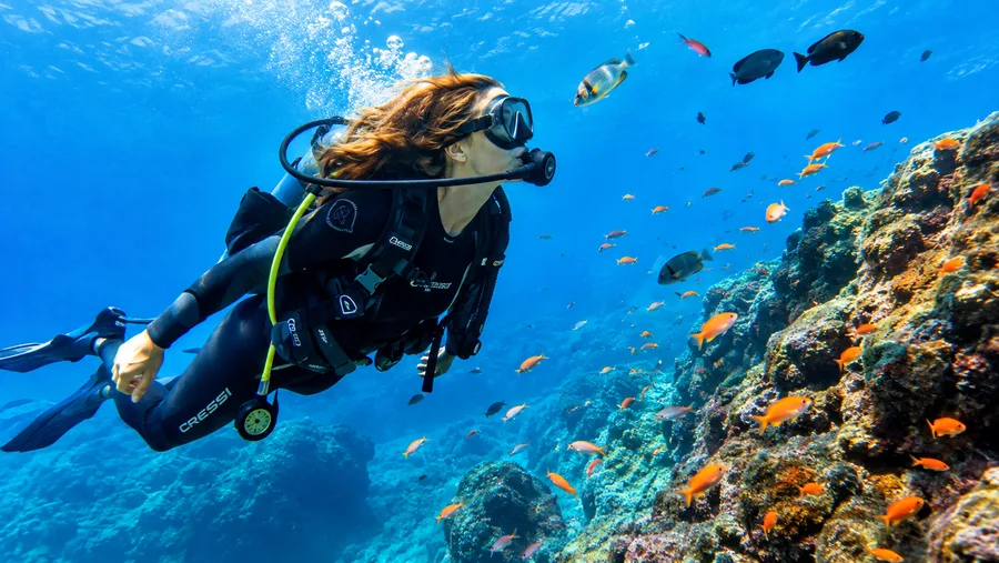Duikprijs, scholen en pakketten voor duiken op Tenerife
